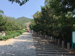 -府君山公园