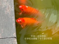 -新航道雅思托福·留学·考研培训(人民广场校区)