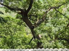 -上方山云水洞
