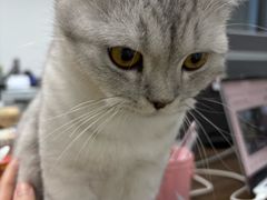 -上海第一八佰伴