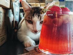 -251#coffee roasters(沿河东路店)