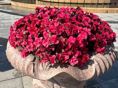 -人民防洪胜利纪念塔