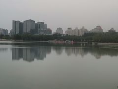 -莲花池公园