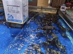 -盒马鲜生(悦峰店)