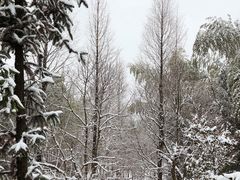 -江南天池高山汤泉城