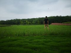 -白鹭湾湿地公园