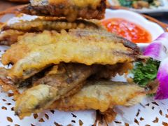 -利杨记·本味轩粥坊·烧烤(宝体店)