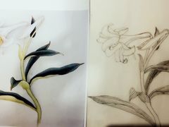 作品-谷隆画舍·国画书法素描彩铅水彩