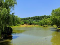 -钟山体育运动公园