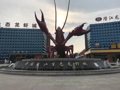 -小李子油焖大虾(天下城旗舰店)
