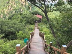 -大岭沟猕猴桃谷风景区