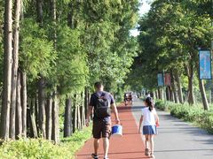 -上海长兴岛郊野公园