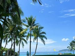 -三亚海棠湾喜来登度假酒店大堂吧