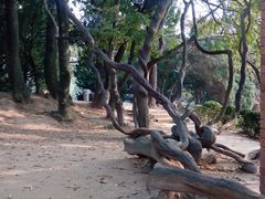 android_upload_pic-八大关景区