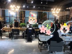 -MMbyHair Code芭曲发型