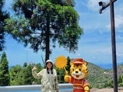 -玉苍山国家森林公园