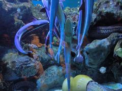 -海合安成都极地海洋公园