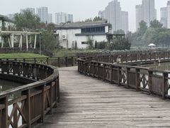 -西安浐灞国家湿地公园