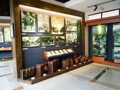 -二沙岛-广东华侨博物馆