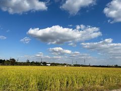 -嘉北郊野公园