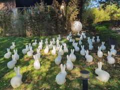 -森波拉火山温泉