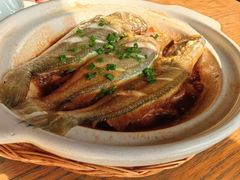 -扬州狮子楼·非遗淮扬菜(东关街店)