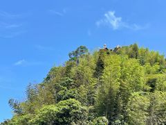-蜀南竹海景区
