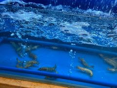 -芭菲盛宴·环球美食(北城国际店)