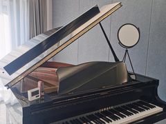 -Melody Mentor音乐私教馆(朝外·悠唐店)