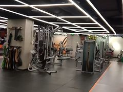 -健身专家Wellness Experts