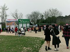 -秀丽东方