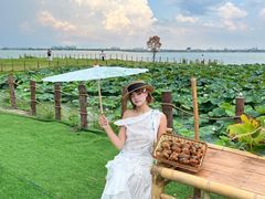 -七的湖·晚芳亭·阳澄湖农家菜·大闸蟹(莲花岛店)