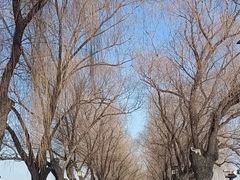-北陵公园