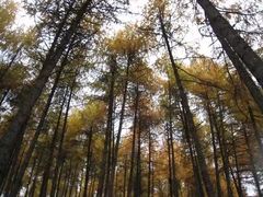 -硗碛藏寨·神木垒景区