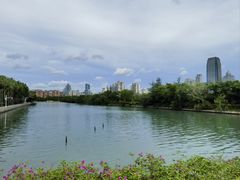 -白鹭洲公园