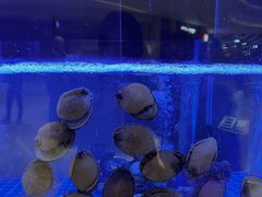 -喜记顺德菜(南昌万象城店)
