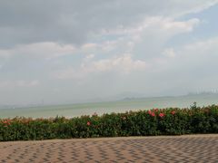 -深圳湾公园(南山区)