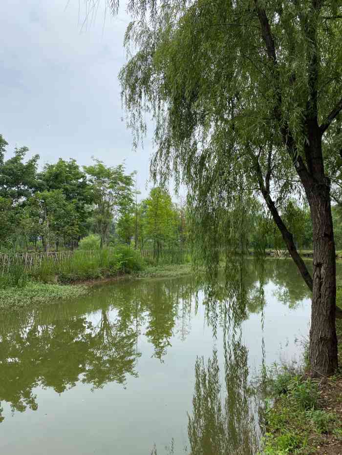 锦绣山庄-"地道信阳农家乐一下高速口不远的地方基."-大众点评移动版