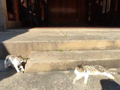 -许驸马府