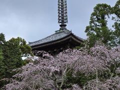 -醍醐寺