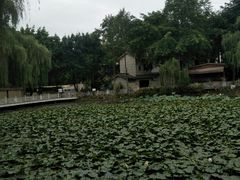 -巴山一绝烤全羊(三圣乡刘家花园店)