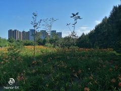 -长春公园(普阳街道)