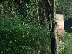 -融汇温泉