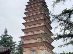 -洛阳白马寺