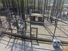 -横道河子东北虎林园