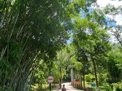 -田心森林公园