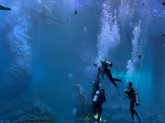 -波塞冬海底世界