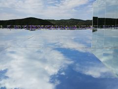 -铜川市金锁关石林