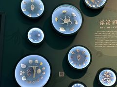 -中国湿地博物馆