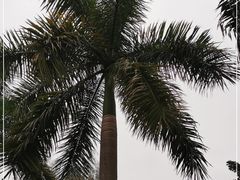 -广州市白云山风景名胜区